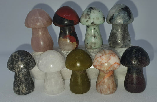 Crystal Carved Mushroom - Intuitive Pick